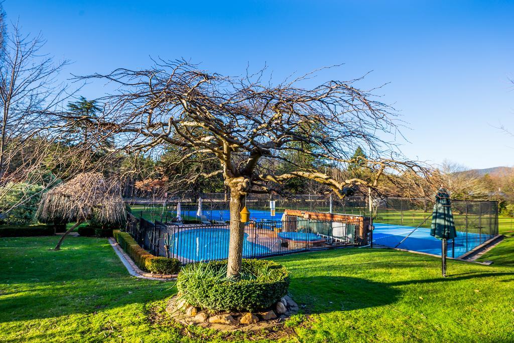Chestnut Tree Holiday Units Bright Buitenkant foto